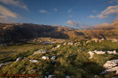 Il Col Alto